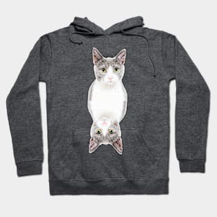 Weird Cat Hoodie